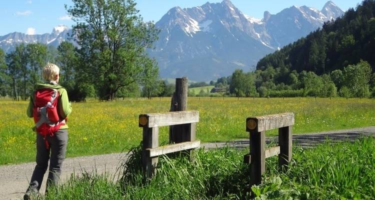 Panorama Walking Tours in the Zell am See District With Charm - Eurohike 4