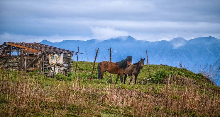 Langtang Gosainkunda Trek - Peregrine Treks and Expedition Pvt Ltd 8
