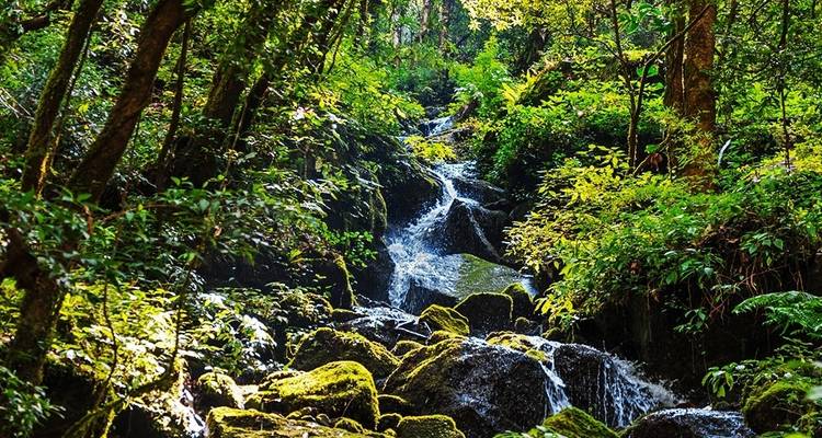 Langtang Gosainkunda Trek - Peregrine Treks and Expedition Pvt Ltd 3