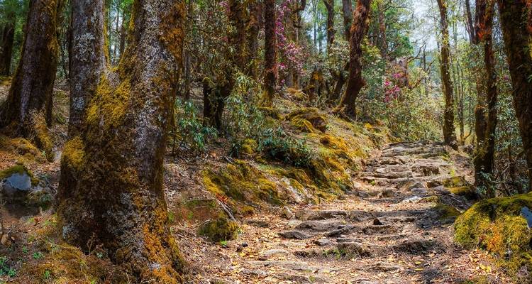 Langtang Gosainkunda Trek - Peregrine Treks and Expedition Pvt Ltd 7