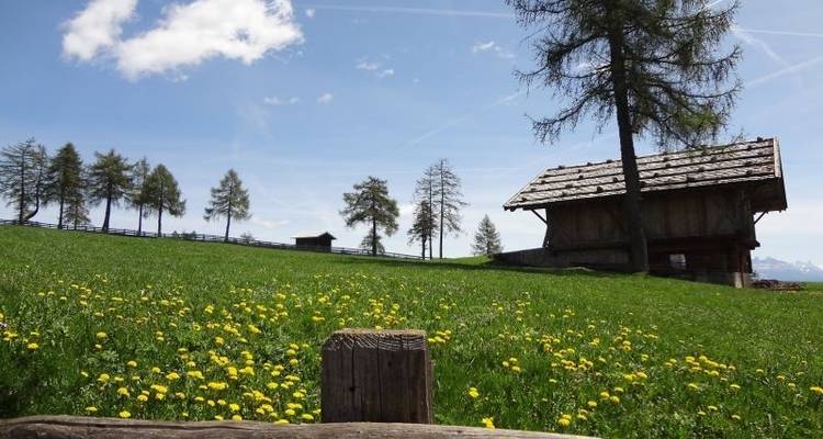 Sentier des vins et des alpages du Tyrol du Sud - Eurohike 3