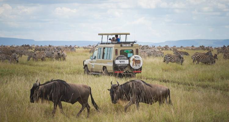 7 jours de safari en Tanzanie avec visite culturelle - Viola tours & travel 4