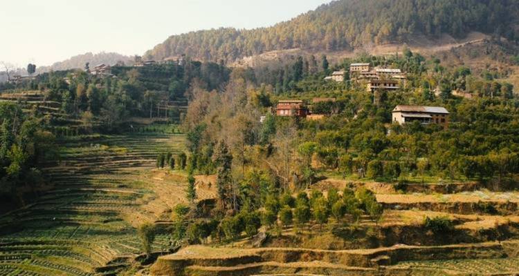 Terrasvormige boerderijen en verspreide huizen op een heuvelflank.