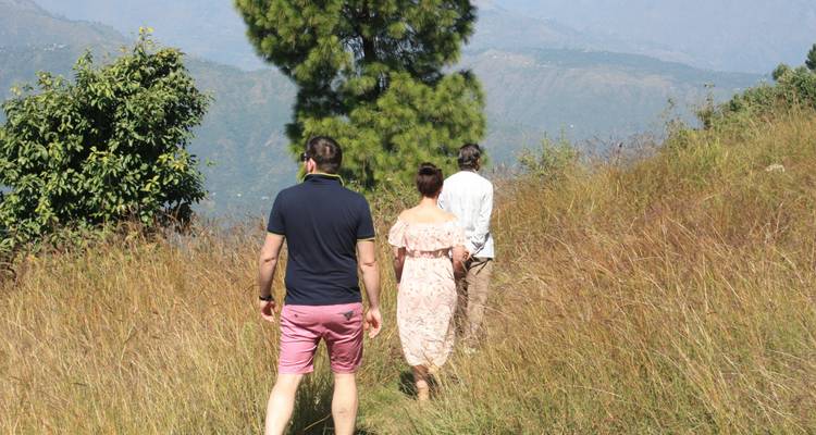 5 Days Yoga in the Himalaya - Shimla Walks 6