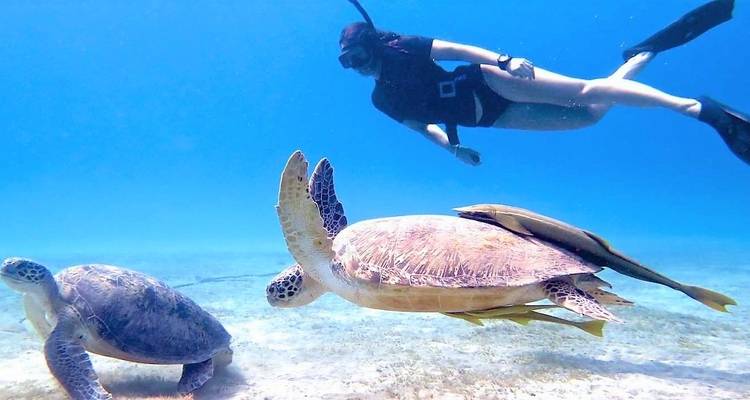 Lo mejor de Egipto el Cairo, crucero por el Nilo y Marsa Alam con vuelos y hoteles 5 estrellas incluidos - Look at Egypt Tours  9