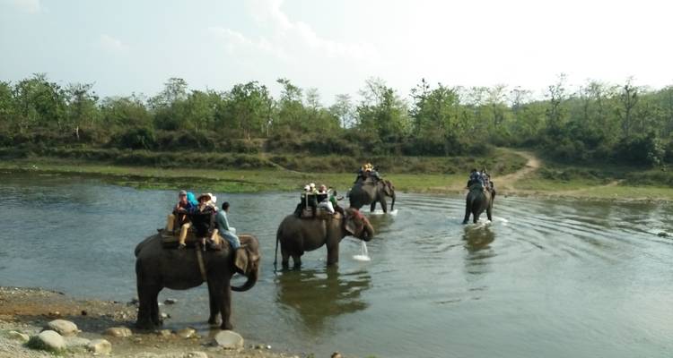 Everest Helicopter Tour With Royal Chitwan Jungle Safari - White Hill Adventure Treks and Expedition Pvt Ltd 3