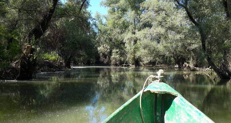 Circuit de 3 jours dans le delta du Danube avec observation des oiseaux et safari au départ de Bucarest - Transylvania Discovery Tours 8