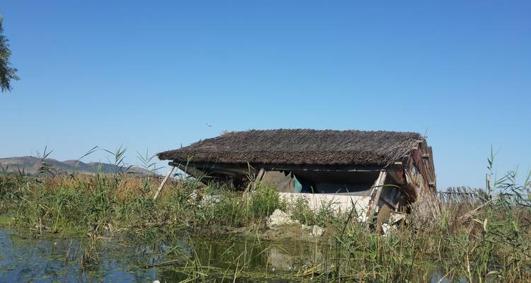Circuit de 3 jours dans le delta du Danube avec observation des oiseaux et safari au départ de Bucarest - Transylvania Discovery Tours 6