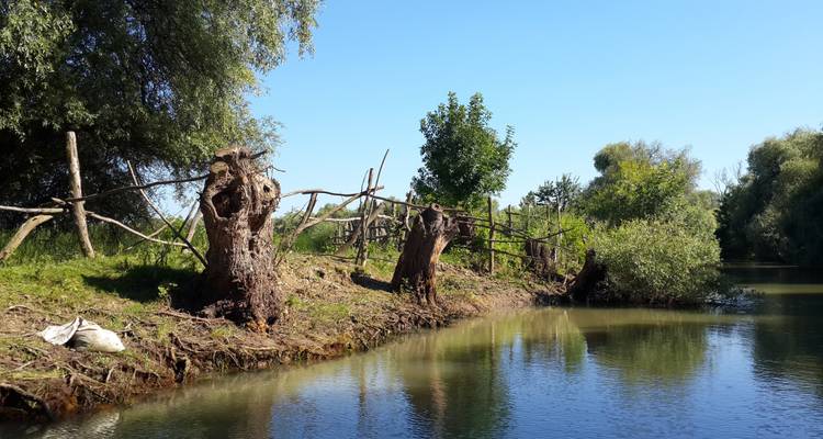Circuit de 3 jours dans le delta du Danube avec observation des oiseaux et safari au départ de Bucarest - Transylvania Discovery Tours 1