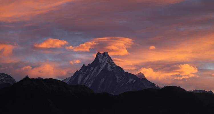 Paragliding - World Himalayan Destination Pvt Ltd 4