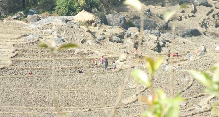 Kathmandu, Shivapuri, Nagarkot Hike - Travel Corporation Nepal 3