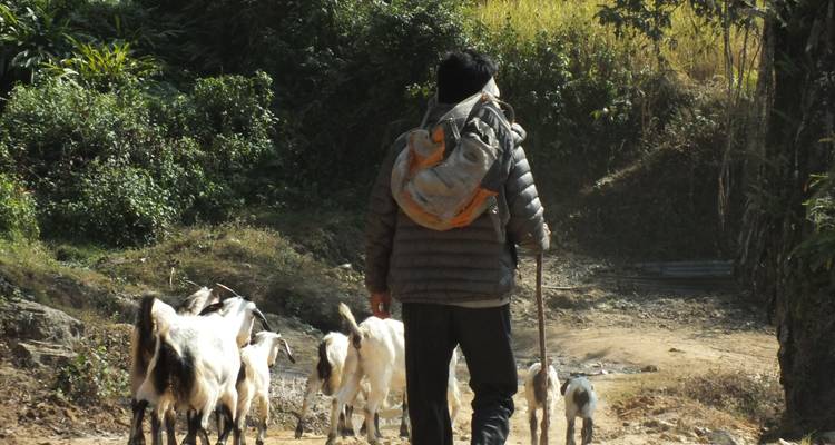 Kathmandu, Shivapuri, Nagarkot Hike - Travel Corporation Nepal 4
