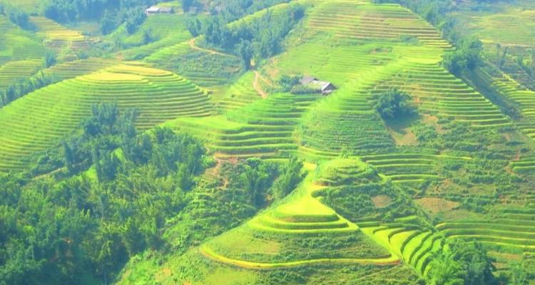 Mu Cang Chai et Sapa - 5 jours - Crossing Vietnam Tour 10