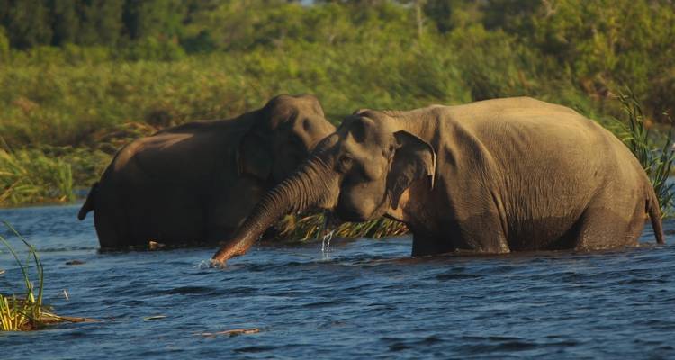 3-Day tour to Vedda Village & Gal Oya National Park - Beyond Escapes 6