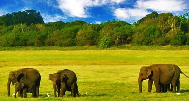 3-Day tour to Vedda Village & Gal Oya National Park - Beyond Escapes 3