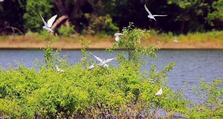 3-Day tour to Vedda Village & Gal Oya National Park - Beyond Escapes 4