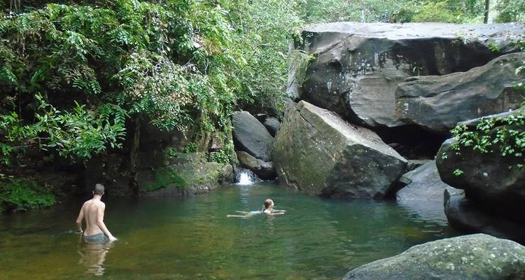 Menschen, die in einem natürlichen Pool schwimmen, der von Felsen und Blättern umgeben ist.