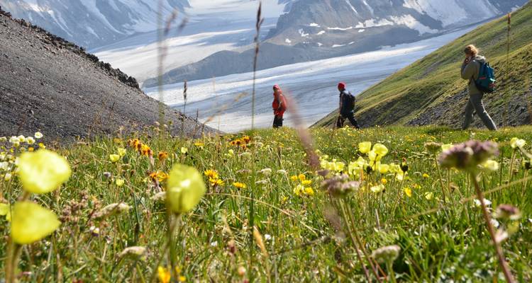 Classic Altai Tavan Bogd Tour, 8 days - Discover Altai 3