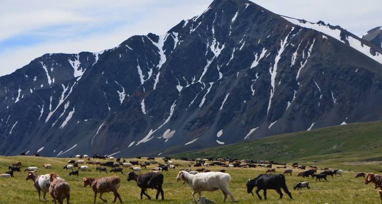 Classic Altai Tavan Bogd Tour, 8 days - Discover Altai 8