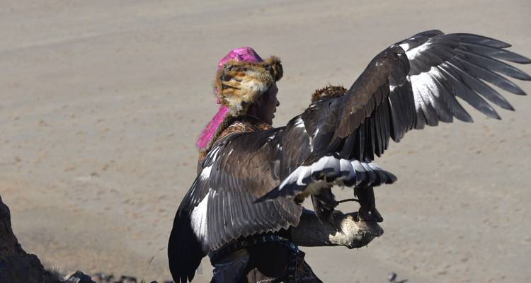 Person holding an eagle against a barren landscape.
