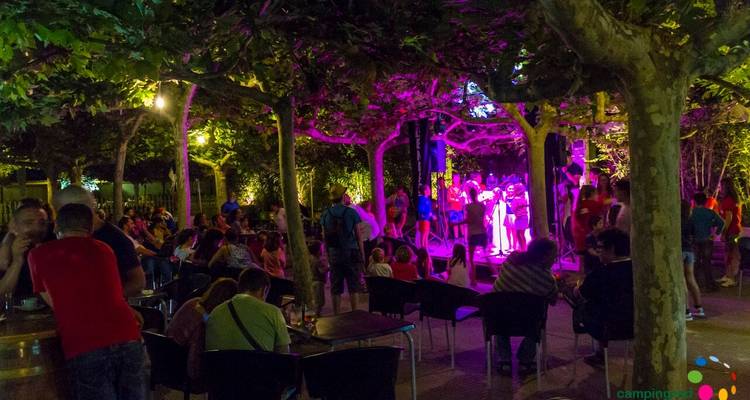 Rassemblement nocturne en plein air avec des lumières colorées parmi les arbres.