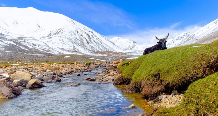 Trek dans la vallée du Langtang et l'héritage Tamang - Asian Heritage Treks & Expeditions 4