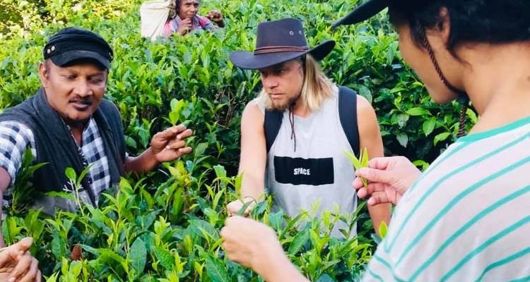 Aventura en una plantación de té en Kandy, con todo incluido y de noche - Beyond Escapes 8