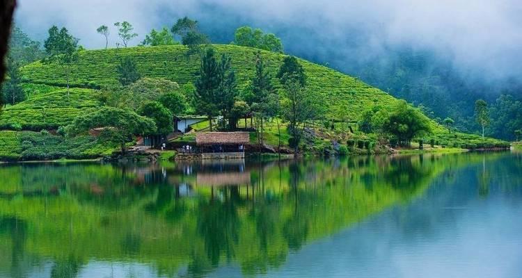 Aventura en una plantación de té en Kandy, con todo incluido y de noche - Beyond Escapes 6