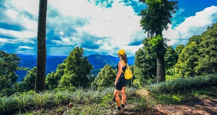 Aventura en una plantación de té en Kandy, con todo incluido y de noche - Beyond Escapes 3