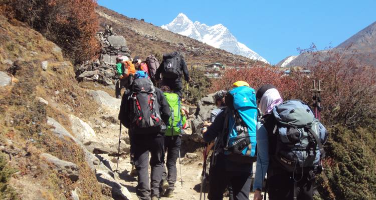 Hikers trekking up a mountain path with backpacks.