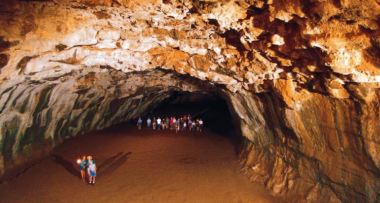 Vagabundo de la Sabana del Golfo - AAT Kings 2