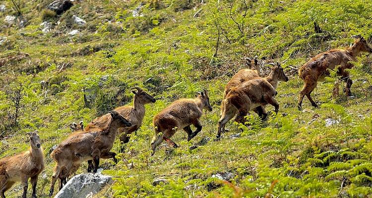 Excursionismo al valle del Tsum - 16 días - Sherpa Expedition & Trekking Pvt. Ltd. 6