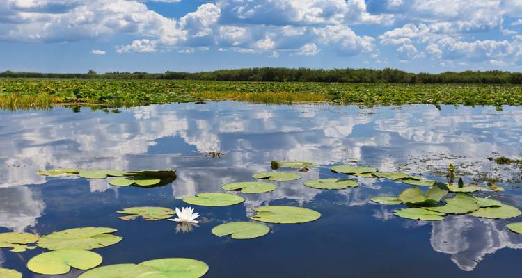 Visite du delta du Danube au départ de Bucarest - TravelMaker  1