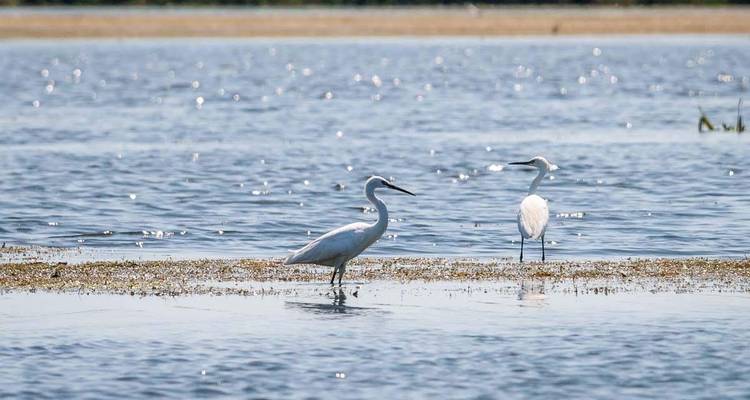 Visite du delta du Danube au départ de Bucarest - TravelMaker  4