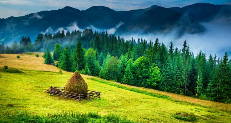 Circuit de la route Transfagarasan et de la ville médiévale de Sibiu - TravelMaker  7