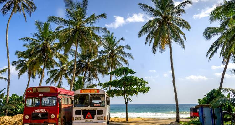 Sri Lanka et Thaïlande - Feel Free Travel - Feel Free Travel 8