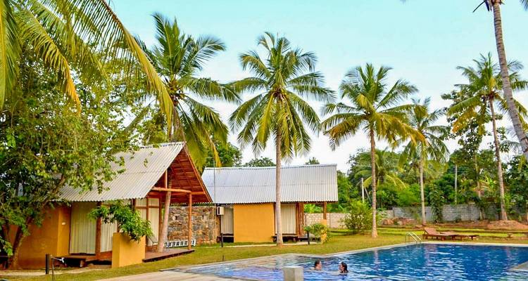 Sri Lanka et Thaïlande - Feel Free Travel - Feel Free Travel 10