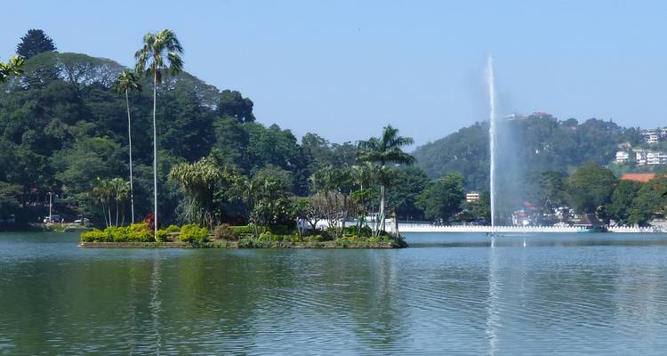 Serener See mit einem Springbrunnen und üppigen Bäumen ringsum.