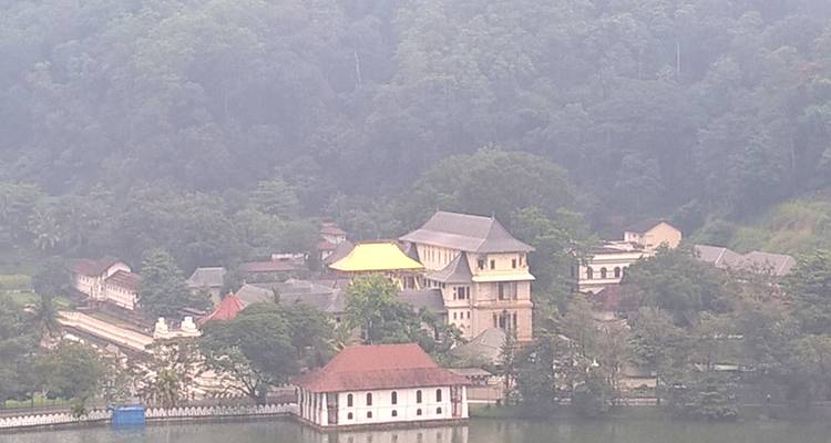 Circuit de 4 jours à Kandy, Nuwara Eliya, Sigiriya et Polonnaruwa depuis Colombo - Vishwa Tour 7