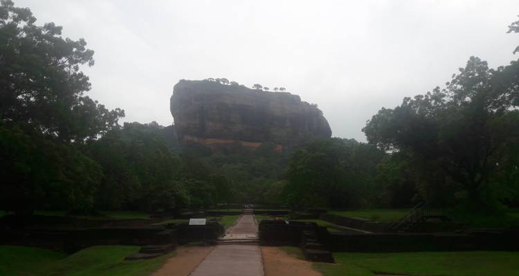 Circuit de 4 jours à Kandy, Nuwara Eliya, Sigiriya et Polonnaruwa depuis Colombo - Vishwa Tour 6
