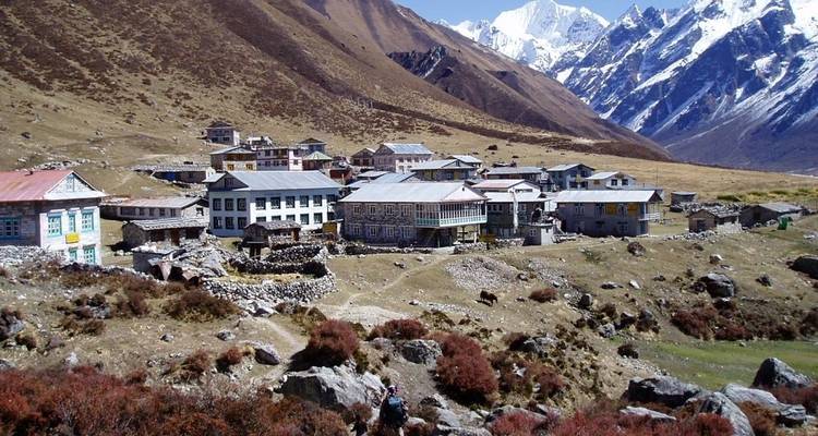 Langtang Trek - Unique Adventure International Pvt. Ltd. 7
