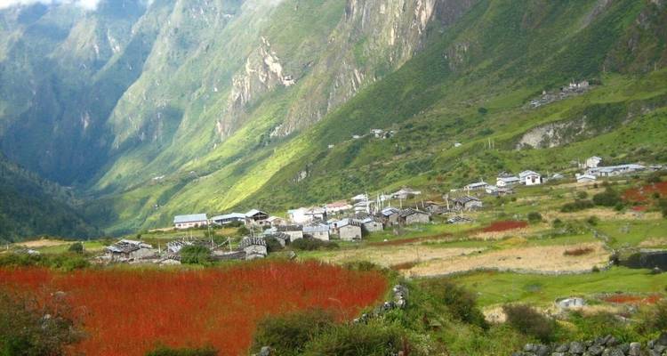 Langtang Trek - Unique Adventure International Pvt. Ltd. 8