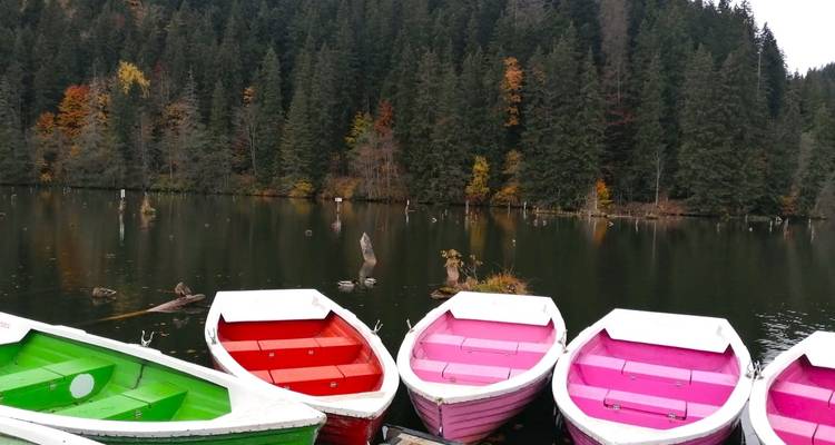 UNESCO Wonders Await: Embark on a 3-Day Adventure to the Enchanting Painted Monasteries of Bucovina! - Business Trans Protocol 3