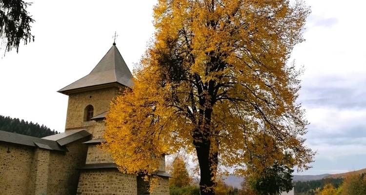 UNESCO Wonders Await: Embark on a 3-Day Adventure to the Enchanting Painted Monasteries of Bucovina! - Business Trans Protocol 9