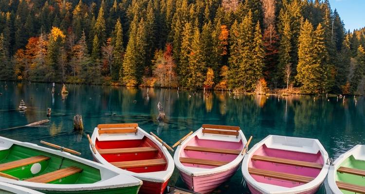 Botes de remo coloridos alineados en un lago turquesa cristalino con un denso bosque de coníferas que muestra tonos otoñales en el fondo.