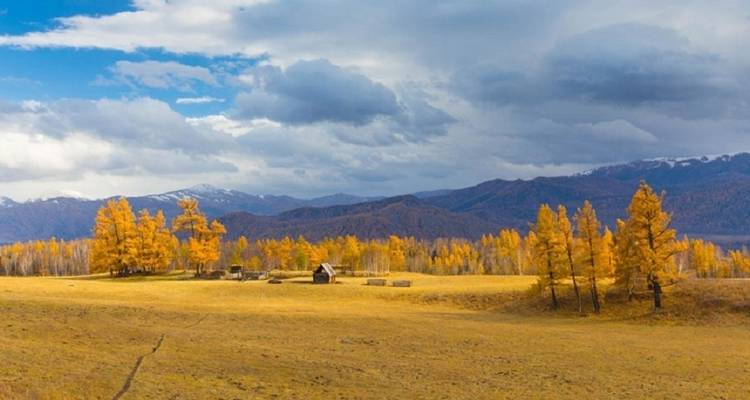 Kanas Trekking Expedition | 8-Day Guided Hike in Xinjiang’s Altay Mountains - Doufeng Adventure 8