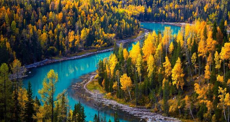 Vue pittoresque d'une rivière sinueuse entourée d'une forêt aux couleurs d'automne.