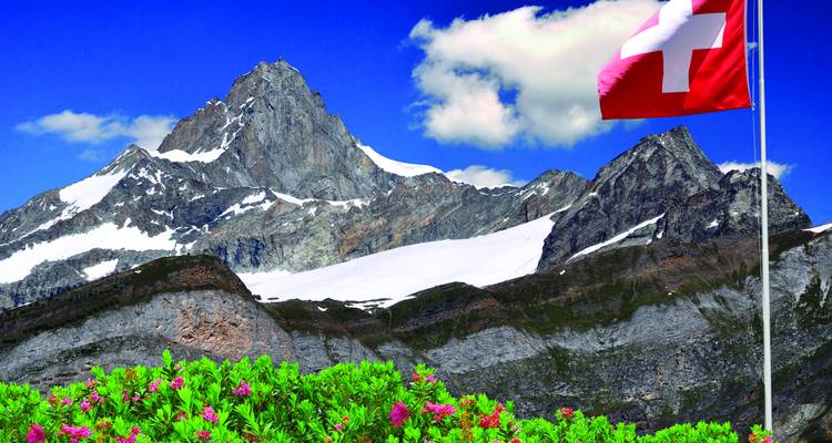 Pic alpin enneigé avec le drapeau suisse flottant au-dessus de fleurs alpines rose vif.