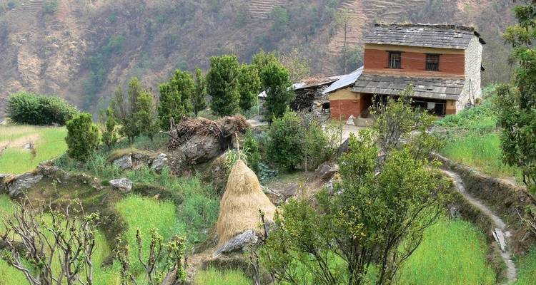Langtang Panorama Trekking Holidays - Manakamana Treks & Expedition Pvt. Ltd. 4
