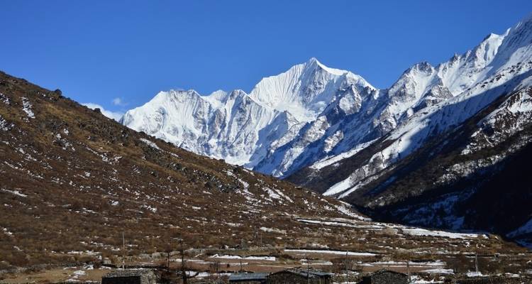 Langtang Panorama Trekking Holidays - Manakamana Treks & Expedition Pvt. Ltd. 3